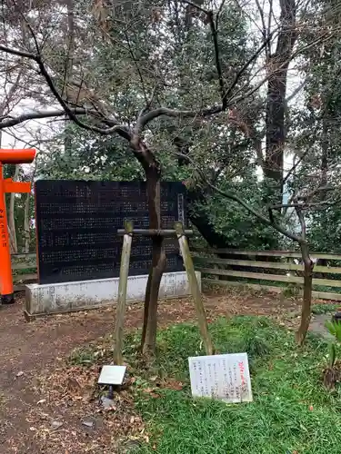 烏子稲荷神社の自然