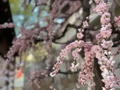 生田神社(兵庫県)