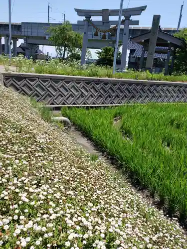 家栄神社の鳥居