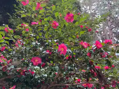 観心寺(大阪府)