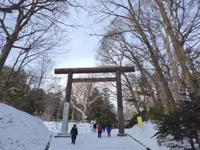 北海道神宮の鳥居
