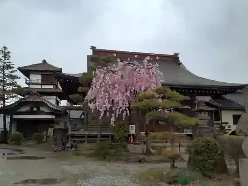 阿弥陀寺の本殿