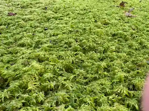 三千院門跡(京都府)