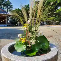 高砂神社の自然