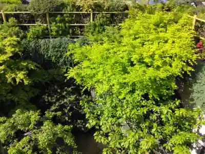 常在寺(東京都)