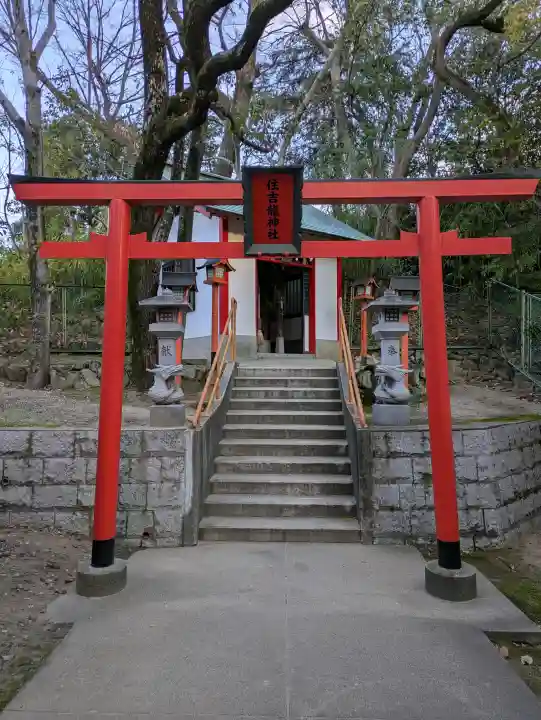 服部住吉神社の{uncategorized: "未分類", other: "その他", undefined: "問題あり", building: "その他建物", grave: "お墓", sacred_gate: "鳥居", guardian: "狛犬", statue: "像", buddha: "仏像", history: "歴史", nature: "自然", garden: "庭園", animal: "動物", pagoda: "塔", temizu: "手水舎", mountain_gate: "山門・神門", sanctuary: "本殿・本堂", subordinate: "末社・摂社", art: "芸術", scenery: "景色", jizo: "地蔵", ema: "絵馬", goshuin: "御朱印", omikuji: "おみくじ", items: "授与品その他", amulet: "お守り", goshuincho: "御朱印帳", eats: "食事", festival: "お祭り", votive_dance: "神楽", shichigosan: "七五三参", wedding: "結婚式", experience: "体験その他", initially: "初詣", around: "周辺", anti_infection: "感染症対策"}