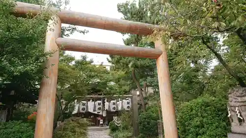 堀越神社の鳥居