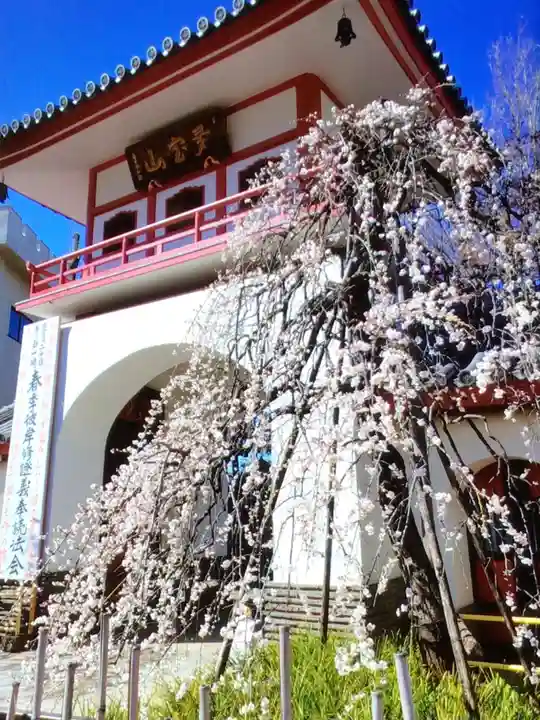 成願寺(東京都)