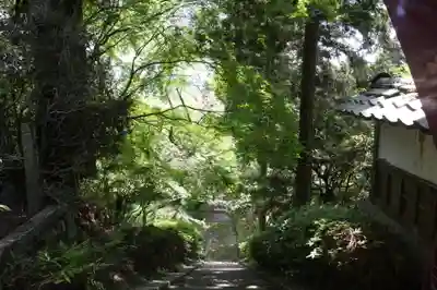 園養寺(滋賀県)