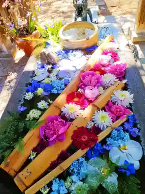 札幌護國神社の手水舎