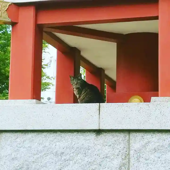 香取神社の動物
