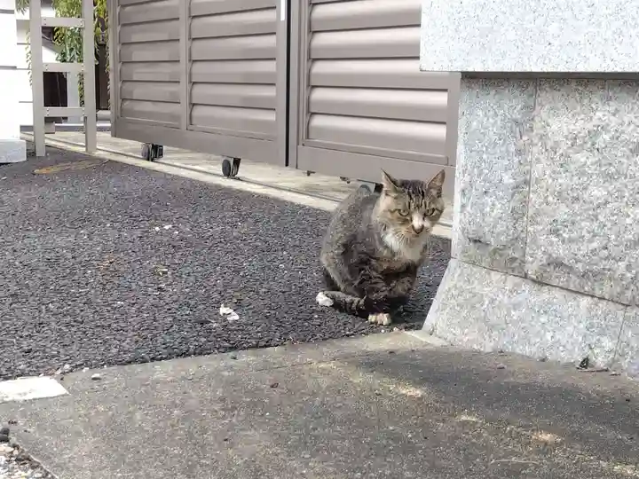 立蔵寺(岐阜県)