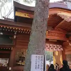 大國魂神社の建物その他