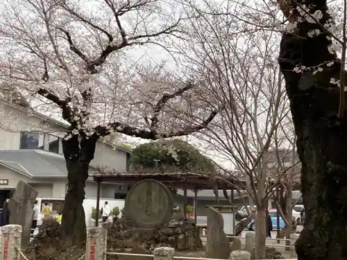 祐天寺(東京都)