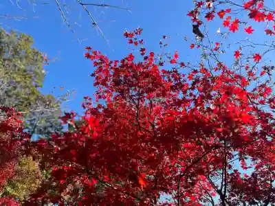 善水寺(滋賀県)