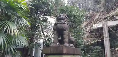 赤坂氷川神社の狛犬
