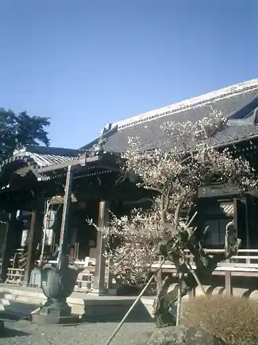 本覚寺の本殿・本堂