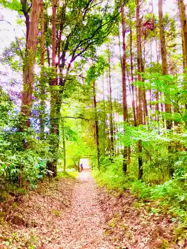 鹿島神社の景色