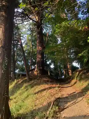 浅間神社(千葉県)