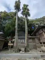 須佐神社の{uncategorized: "未分類", other: "その他", undefined: "問題あり", building: "その他建物", grave: "お墓", sacred_gate: "鳥居", guardian: "狛犬", statue: "像", buddha: "仏像", history: "歴史", nature: "自然", garden: "庭園", animal: "動物", pagoda: "塔", temizu: "手水舎", mountain_gate: "山門・神門", sanctuary: "本殿・本堂", subordinate: "末社・摂社", art: "芸術", scenery: "景色", jizo: "地蔵", ema: "絵馬", goshuin: "御朱印", omikuji: "おみくじ", items: "授与品その他", amulet: "お守り", goshuincho: "御朱印帳", eats: "食事", festival: "お祭り", votive_dance: "神楽", shichigosan: "七五三参", wedding: "結婚式", experience: "体験その他", initially: "初詣", around: "周辺", anti_infection: "感染症対策"}