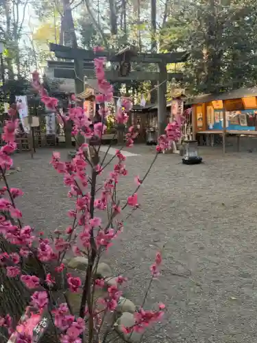 大宮天満宮の{uncategorized: "未分類", other: "その他", undefined: "問題あり", building: "その他建物", grave: "お墓", sacred_gate: "鳥居", guardian: "狛犬", statue: "像", buddha: "仏像", history: "歴史", nature: "自然", garden: "庭園", animal: "動物", pagoda: "塔", temizu: "手水舎", mountain_gate: "山門・神門", sanctuary: "本殿・本堂", subordinate: "末社・摂社", art: "芸術", scenery: "景色", jizo: "地蔵", ema: "絵馬", goshuin: "御朱印", omikuji: "おみくじ", items: "授与品その他", amulet: "お守り", goshuincho: "御朱印帳", eats: "食事", festival: "お祭り", votive_dance: "神楽", shichigosan: "七五三参", wedding: "結婚式", experience: "体験その他", initially: "初詣", around: "周辺", anti_infection: "感染症対策"}