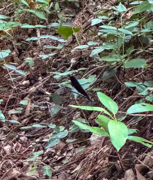 宮道天神社(愛知県)