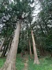 出雲伊波比神社(埼玉県)