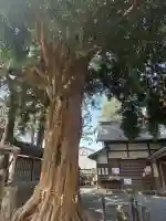 春日神社の{uncategorized: "未分類", other: "その他", undefined: "問題あり", building: "その他建物", grave: "お墓", sacred_gate: "鳥居", guardian: "狛犬", statue: "像", buddha: "仏像", history: "歴史", nature: "自然", garden: "庭園", animal: "動物", pagoda: "塔", temizu: "手水舎", mountain_gate: "山門・神門", sanctuary: "本殿・本堂", subordinate: "末社・摂社", art: "芸術", scenery: "景色", jizo: "地蔵", ema: "絵馬", goshuin: "御朱印", omikuji: "おみくじ", items: "授与品その他", amulet: "お守り", goshuincho: "御朱印帳", eats: "食事", festival: "お祭り", votive_dance: "神楽", shichigosan: "七五三参", wedding: "結婚式", experience: "体験その他", initially: "初詣", around: "周辺", anti_infection: "感染症対策"}