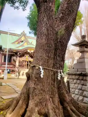 諏訪神社(東京都)