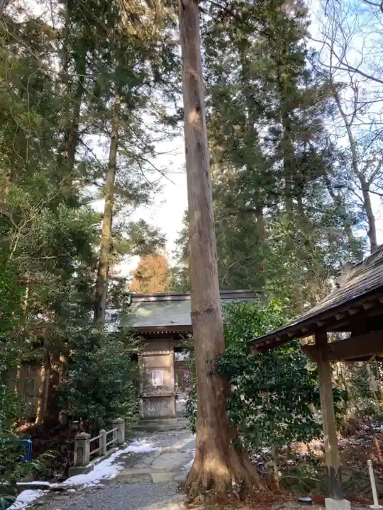 庭田神社(兵庫県)