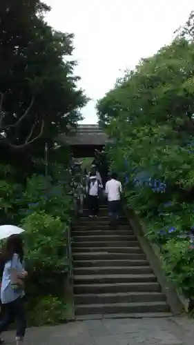 東慶寺の{uncategorized: "未分類", other: "その他", undefined: "問題あり", building: "その他建物", grave: "お墓", sacred_gate: "鳥居", guardian: "狛犬", statue: "像", buddha: "仏像", history: "歴史", nature: "自然", garden: "庭園", animal: "動物", pagoda: "塔", temizu: "手水舎", mountain_gate: "山門・神門", sanctuary: "本殿・本堂", subordinate: "末社・摂社", art: "芸術", scenery: "景色", jizo: "地蔵", ema: "絵馬", goshuin: "御朱印", omikuji: "おみくじ", items: "授与品その他", amulet: "お守り", goshuincho: "御朱印帳", eats: "食事", festival: "お祭り", votive_dance: "神楽", shichigosan: "七五三参", wedding: "結婚式", experience: "体験その他", initially: "初詣", around: "周辺", anti_infection: "感染症対策"}