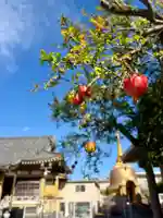 福王山 慈眼寺(東京都)