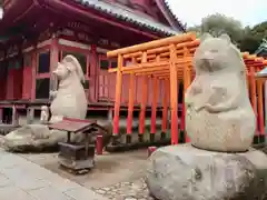 屋島寺の狛犬