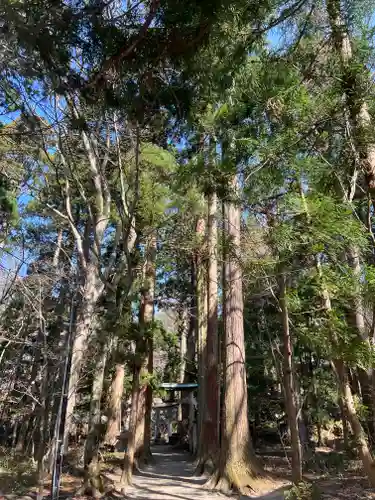 十和田神社の自然