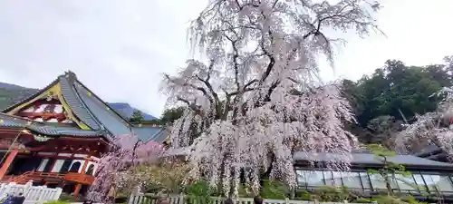 久遠寺(山梨県)