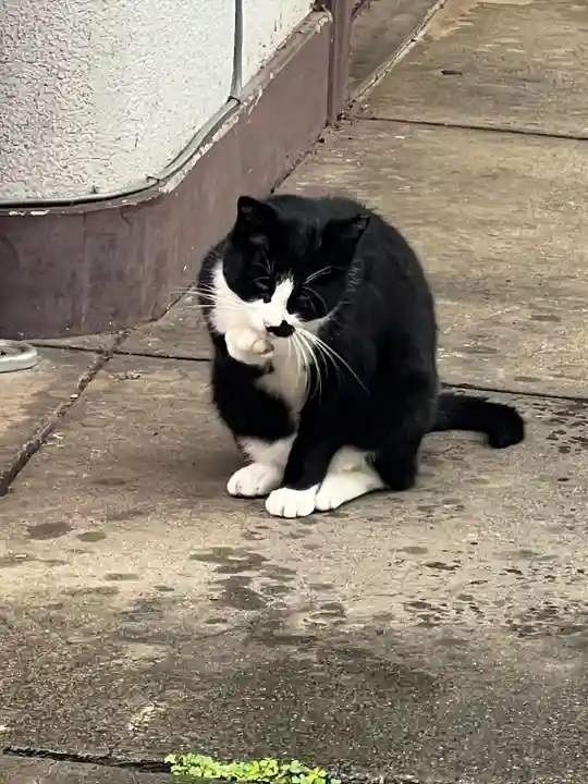 唐澤山神社(栃木県)
