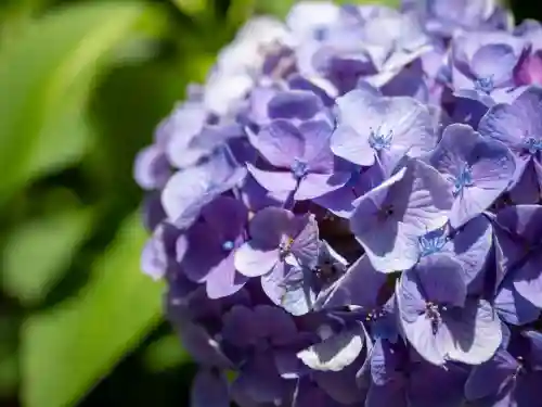 装束稲荷神社（王子稲荷神社境外摂社）(東京都)
