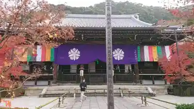 禅林寺（永観堂）の本殿・本堂