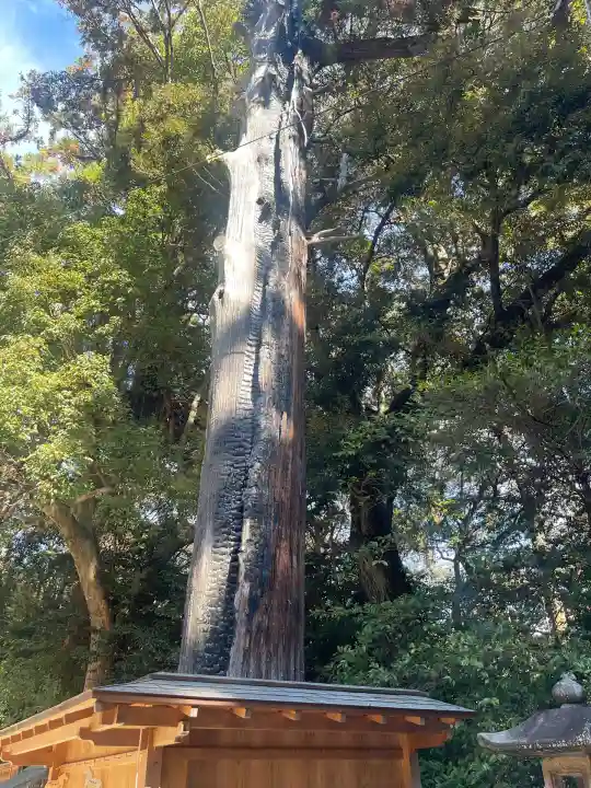 往馬坐伊古麻都比古神社(奈良県)