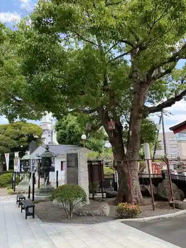 水戸東照宮(茨城県)