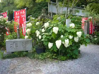 太平山神社(栃木県)