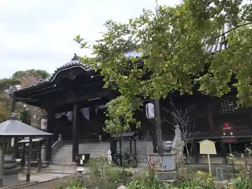 志度寺の本殿・本堂
