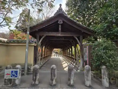 東福禅寺（東福寺）(京都府)