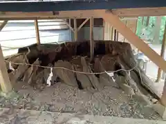 賀蘇山神社の建物その他