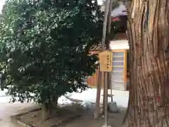 八重垣神社の自然