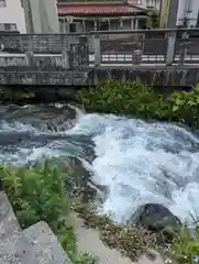 富士山本宮浅間大社(静岡県)