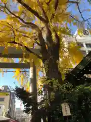 波除神社（波除稲荷神社）の自然