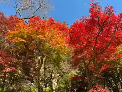長谷寺(奈良県)