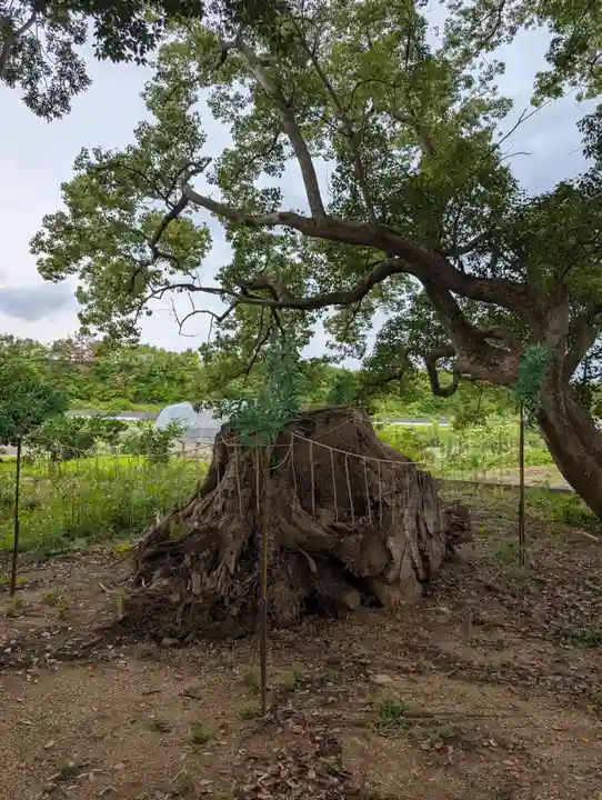 大宮八幡神社(香川県)