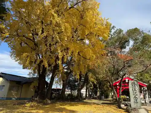 美奈宜神社(福岡県)